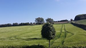 Markerne mod syd overnatning på Fyn